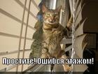 https://lolkot.ru/2014/07/05/etazh/