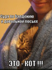 https://lolkot.ru/2011/02/21/eto-kot/