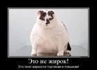 https://lolkot.ru/2012/06/08/eto-ne-zhirok/
