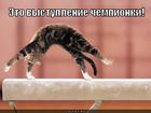 https://lolkot.ru/2012/08/18/eto-vystupleniye-chempionki/