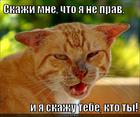 https://lolkot.ru/2012/11/24/eto-ya-to-ne-prav/