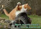 https://lolkot.ru/2011/03/23/eto-zhe-ne-nash-metod/