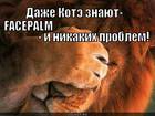 https://lolkot.ru/2012/04/18/facepalm-i-nikakih-problem/