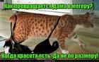 https://lolkot.ru/2017/04/19/faktor-prevrascheniya/