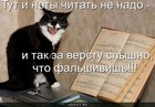 https://lolkot.ru/2010/07/06/falshivish/