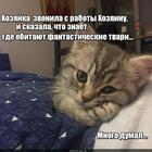 https://lolkot.ru/2020/11/11/fantasticheskoye-mestoobitaniye/