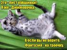 https://lolkot.ru/2016/06/13/fantaziynaya-koteyka/