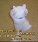 https://lolkot.ru/2011/07/06/fbr-vsem-stoyat/