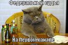 https://lolkot.ru/2011/01/30/federalnyy-sudya/