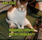 https://lolkot.ru/2012/06/06/fig-tebe-2/