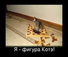 https://lolkot.ru/2011/09/21/figura-kote/