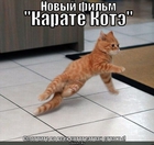 https://lolkot.ru/2010/09/01/film-karate-kote/