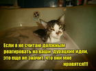 https://lolkot.ru/2016/11/07/filosof-pofigist/