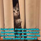 https://lolkot.ru/2016/01/28/finalnaya-stsena/