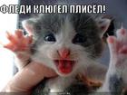 https://lolkot.ru/2010/10/14/fledi-klyugel/