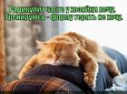 https://lolkot.ru/2014/11/27/formovka/