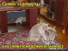 https://lolkot.ru/2011/11/10/gadish-ty/