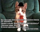 https://lolkot.ru/2011/10/21/galstuk-i-kotelok/
