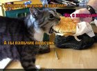 https://lolkot.ru/2010/10/05/gamburger-s-myasom/