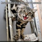 https://lolkot.ru/2012/08/28/gastarbayter/