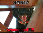 https://lolkot.ru/2010/06/15/gay-bar/
