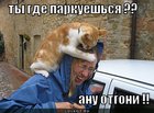 https://lolkot.ru/2011/10/28/gde-parkuyeshsya/