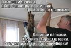 https://lolkot.ru/2013/04/01/generalnaya/