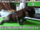 https://lolkot.ru/2010/09/14/gimnastika-dlya-lap/