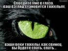 https://lolkot.ru/2012/09/14/gipnotizyor/