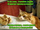 https://lolkot.ru/2016/04/29/gipnoz-tsypochki/