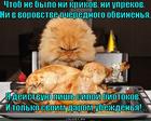 https://lolkot.ru/2015/06/27/gipnoz-8/