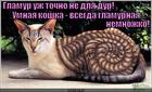 https://lolkot.ru/2013/01/07/glamur-ne-dlya-dur-2/