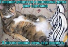 https://lolkot.ru/2012/03/02/glavnoye-reshitsya/
