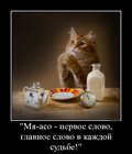 https://lolkot.ru/2012/08/12/glavnoye-slovo/