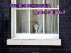 https://lolkot.ru/2013/09/18/glavnoye-sokrovische/