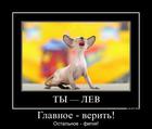 https://lolkot.ru/2012/12/13/glavnoye-verit/