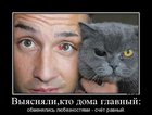 https://lolkot.ru/2012/07/18/glavnyy-v-dome/