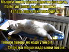 https://lolkot.ru/2015/07/13/glazhka-nyashki/