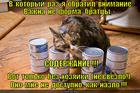 https://lolkot.ru/2013/09/25/glubina-soderzhaniya/