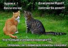 https://lolkot.ru/2014/05/15/golod-2/