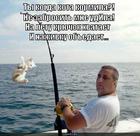 https://lolkot.ru/2013/09/02/golod-ne-tyotka-2/
