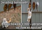 https://lolkot.ru/2011/02/04/golod-pomoril/