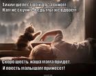 https://lolkot.ru/2014/10/15/golodnyye-malyshi-i-kotyata/
