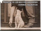 https://lolkot.ru/2012/01/19/golova-kruzhitsya/