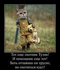 https://lolkot.ru/2016/07/04/gore-pomoschnik/