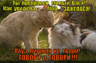 https://lolkot.ru/2013/11/06/goryachiy-parnisha/