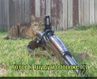 https://lolkot.ru/2011/06/01/gotov-k-trudu/