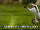 https://lolkot.ru/2012/08/28/govoryaschaya-s-prizrakami/