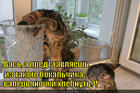 https://lolkot.ru/2015/06/18/granenyy-stakan/