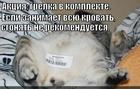https://lolkot.ru/2014/11/30/grelka-dlya-krovati/